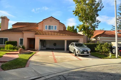 DSC_7327 (Large).JPG